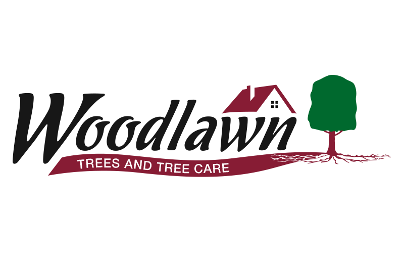 Woodlawn Tree Logo